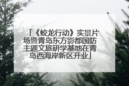 《蛟龙行动》实景片场暨青岛东方影都国防主题文旅研学基地在青岛西海岸新区开业