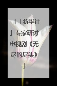 「新华社」专家研讨电视剧《无尽的尽头》
