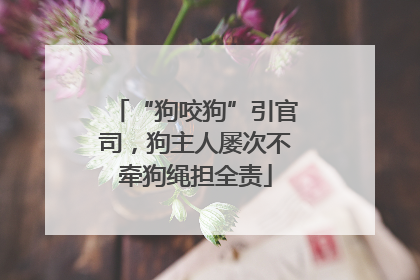 “狗咬狗”引官司，狗主人屡次不牵狗绳担全责