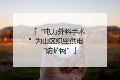 “电力外科手术”为山区织密供电“防护网”