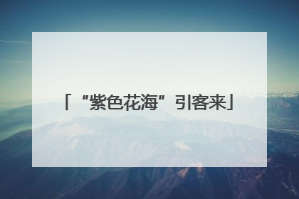“紫色花海”引客来