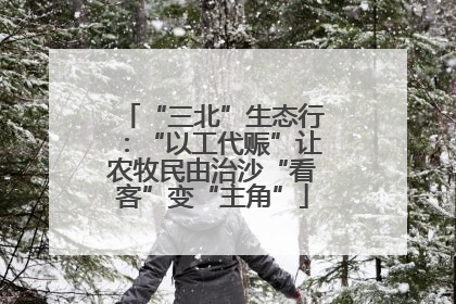 “三北”生态行：“以工代赈”让农牧民由治沙“看客”变“主角”