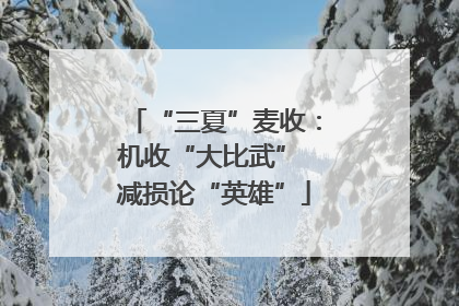 “三夏”麦收：机收“大比武” 减损论“英雄”