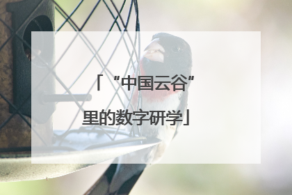 “中国云谷”里的数字研学
