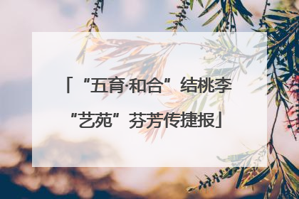 “五育·和合”结桃李 “艺苑”芬芳传捷报