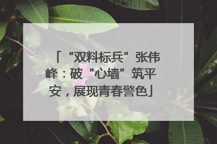 “双料标兵”张伟峰：破“心墙”筑平安，展现青春警色