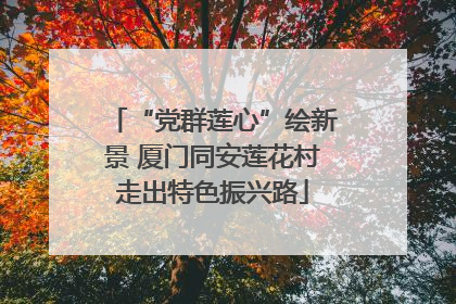 “党群莲心”绘新景 厦门同安莲花村走出特色振兴路