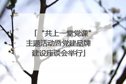 “共上一堂党课”主题活动暨党建品牌建设座谈会举行