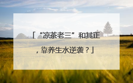 “凉茶老三”和其正，靠养生水逆袭？