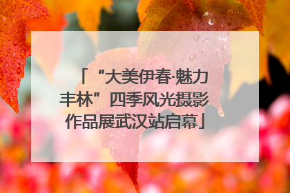 “大美伊春·魅力丰林”四季风光摄影作品展武汉站启幕