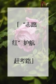 “志愿红”护航赶考路