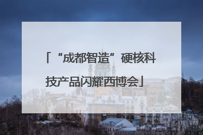 “成都智造”硬核科技产品闪耀西博会