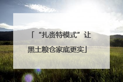 “扎赉特模式”让黑土粮仓家底更实