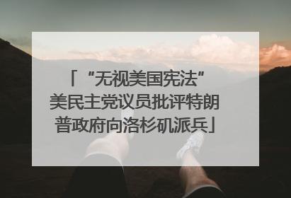 “无视美国宪法” 美民主党议员批评特朗普政府向洛杉矶派兵