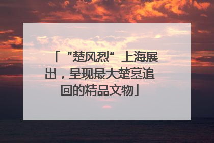 “楚风烈”上海展出，呈现最大楚墓追回的精品文物