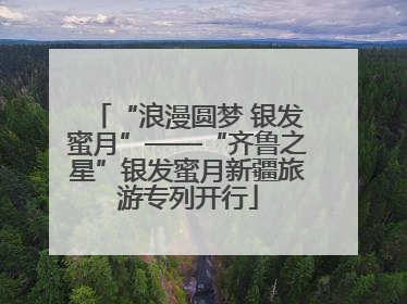 “浪漫圆梦 银发蜜月”——“齐鲁之星”银发蜜月新疆旅游专列开行