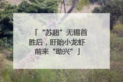“苏超”无锡首胜后，盱眙小龙虾前来“助兴”