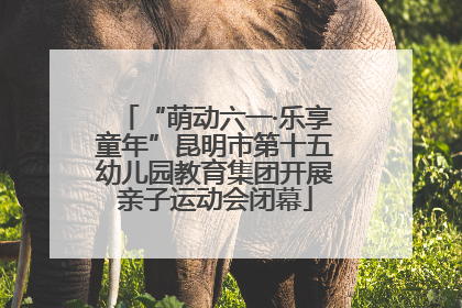 “萌动六一·乐享童年”昆明市第十五幼儿园教育集团开展亲子运动会闭幕