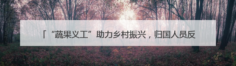 “蔬果义工”助力乡村振兴，归国人员反哺家乡，“果蔬村”村美民富香飘远近