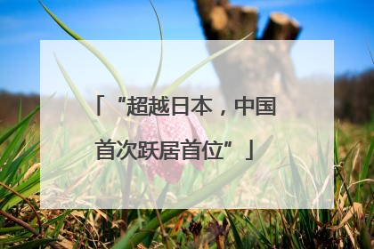 “超越日本，中国首次跃居首位”