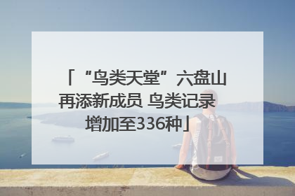 “鸟类天堂”六盘山再添新成员 鸟类记录增加至336种