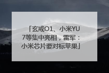 玄戒O1、小米YU7等集中亮相，雷军：小米芯片要对标苹果