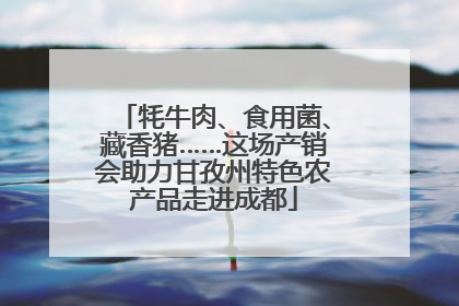 牦牛肉、食用菌、藏香猪……这场产销会助力甘孜州特色农产品走进成都