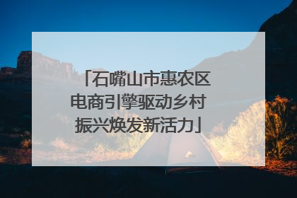 石嘴山市惠农区电商引擎驱动乡村振兴焕发新活力