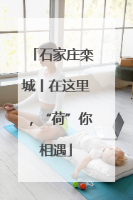 石家庄栾城丨在这里，“荷”你相遇