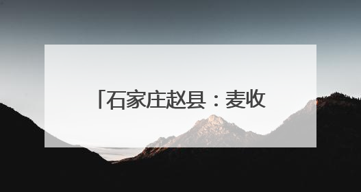 石家庄赵县：麦收时节好“丰”景