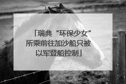 瑞典“环保少女”所乘前往加沙船只被以军登船控制