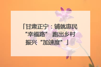 甘肃正宁：铺就惠民“幸福路” 跑出乡村振兴“加速度”