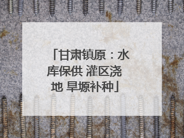甘肃镇原：水库保供 灌区浇地 旱塬补种