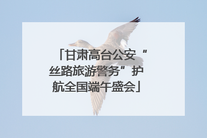 甘肃高台公安“丝路旅游警务”护航全国端午盛会