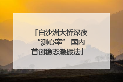 白沙洲大桥深夜“测心率” 国内首创稳态激振法
