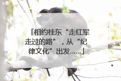 相约桂东“走红军走过的路”，从“纪律文化”出发……