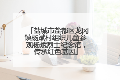 盐城市盐都区龙冈镇杨斌村组织儿童参观杨斌烈士纪念馆，传承红色基因