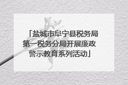 盐城市阜宁县税务局第一税务分局开展廉政警示教育系列活动