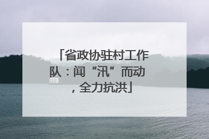 省政协驻村工作队：闻“汛”而动，全力抗洪
