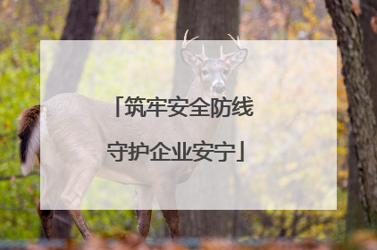 筑牢安全防线 守护企业安宁