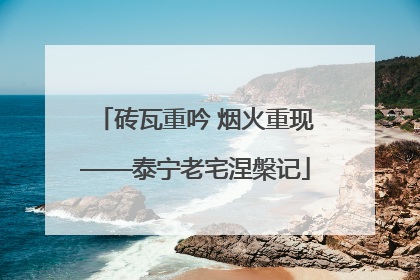 砖瓦重吟 烟火重现——泰宁老宅涅槃记