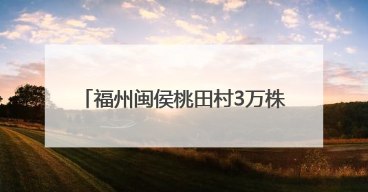 福州闽侯桃田村3万株百合盛放 芬芳扑鼻