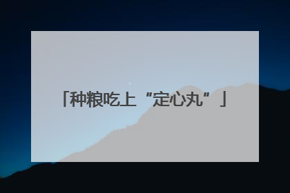 种粮吃上“定心丸”