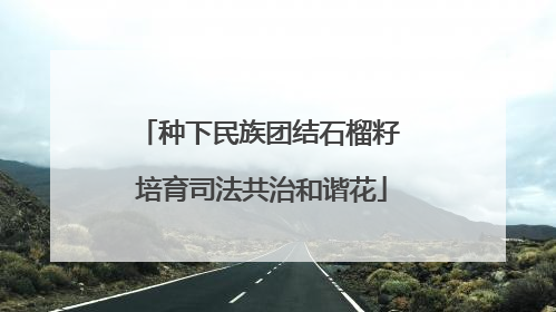 种下民族团结石榴籽 培育司法共治和谐花