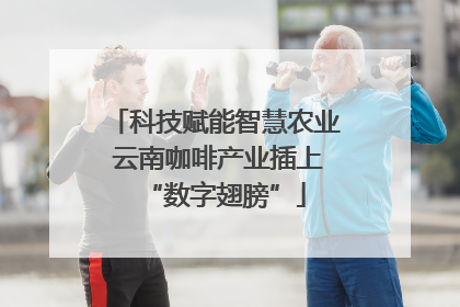 科技赋能智慧农业 云南咖啡产业插上“数字翅膀”