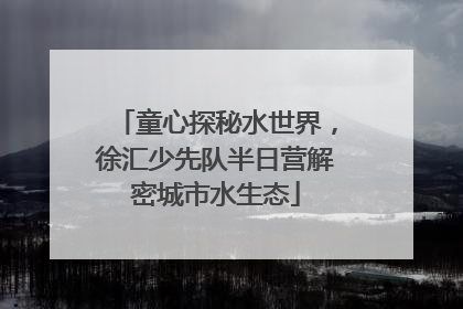 童心探秘水世界，徐汇少先队半日营解密城市水生态