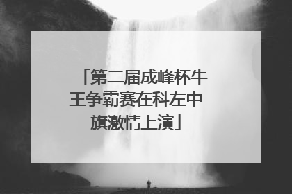 第二届成峰杯牛王争霸赛在科左中旗激情上演