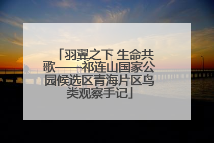 羽翼之下 生命共歌——祁连山国家公园候选区青海片区鸟类观察手记