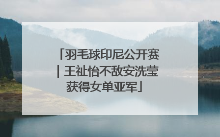 羽毛球印尼公开赛｜王祉怡不敌安洗莹 获得女单亚军