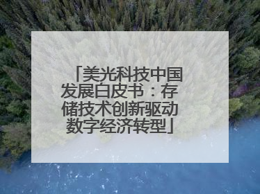 美光科技中国发展白皮书：存储技术创新驱动数字经济转型